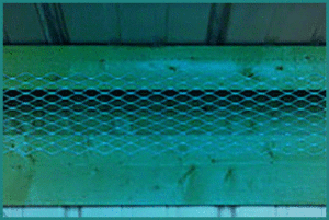Stop Pest Image