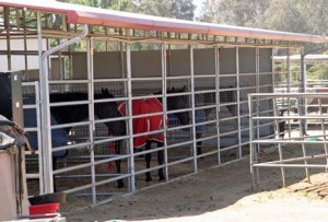 Steel Frame Buildings Horse Port to protect Horses from the Elements
